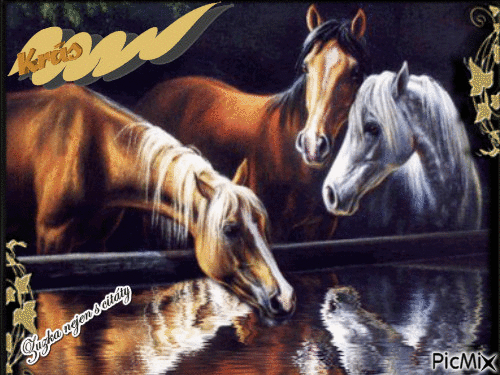koně - Ingyenes animált GIF