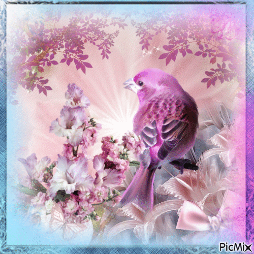 pinks and purples with bird - Free animated GIF