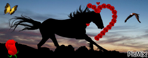 eu amo cavalo - GIF animé gratuit