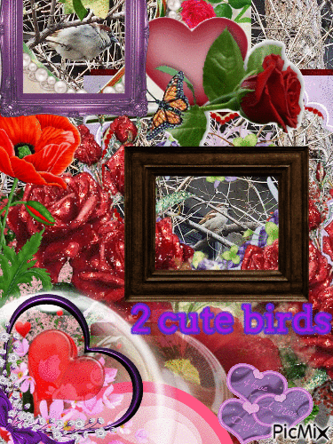 birds - Δωρεάν κινούμενο GIF
