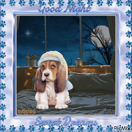 DOG - Good Night Sweet Dreams. Contest - Free animated GIF