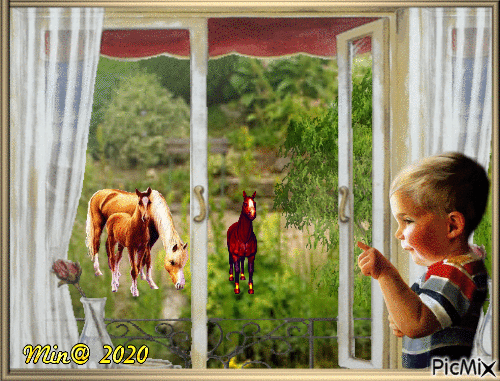 Min@  pojke i fönstret.. sönd  2020-11.01 - GIF animate gratis