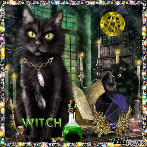 Witch Cat - GIF เคลื่อนไหวฟรี