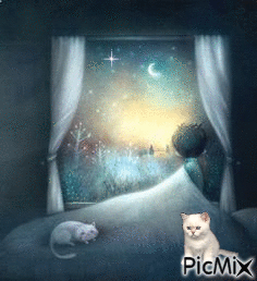 Dos gatos blancos en mi cama - Zdarma animovaný GIF