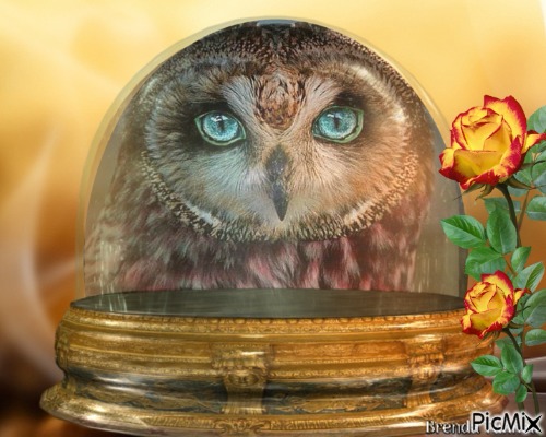 autumn owl - besplatni png