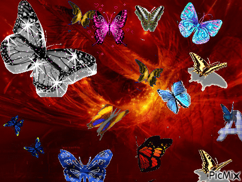 mariposas - GIF animate gratis