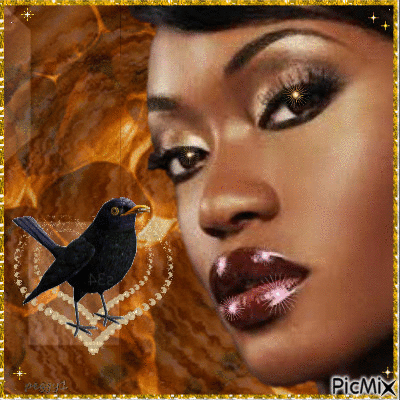 blackbird singing - Gratis animeret GIF