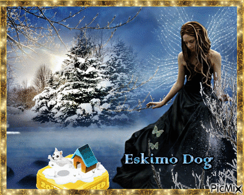 Eskimo Dog - Бесплатный анимированный гифка