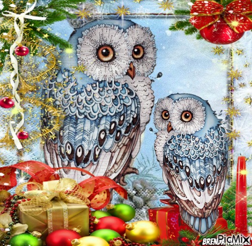 christmas owl - ilmainen png