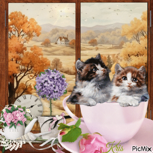 Deux chatons mignons dans une tasse - Δωρεάν κινούμενο GIF