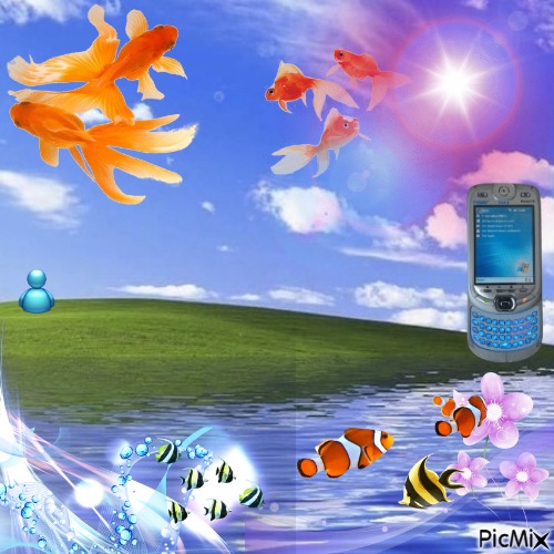 where do the fishies go when they die? - gratis png
