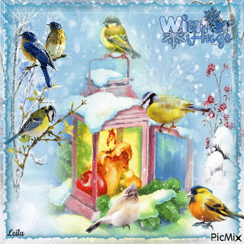 Birds. Winter. Winter Hugs - Бесплатный анимированный гифка