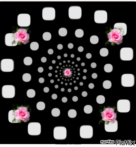 rosas gif - GIF animado gratis