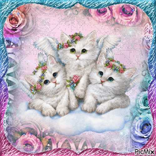 Angel Cats - GIF animado gratis