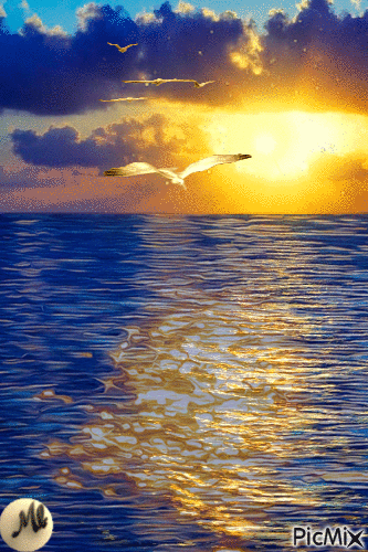 Mar dorado - 無料のアニメーション GIF