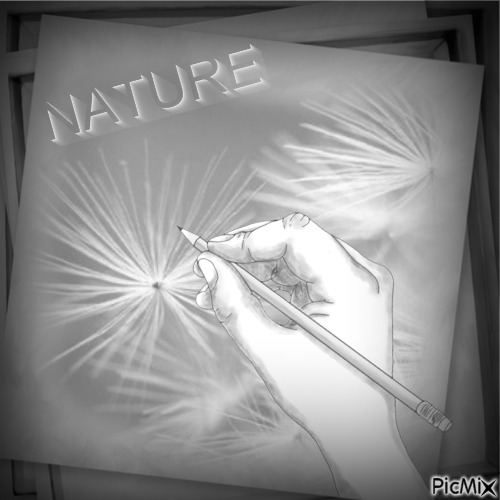 Nature - zdarma png