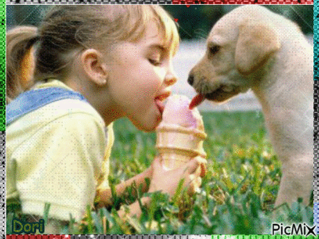 Passion des chiens ( - Free animated GIF