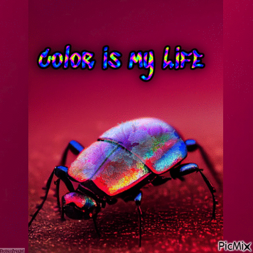 Color is my Life - Δωρεάν κινούμενο GIF
