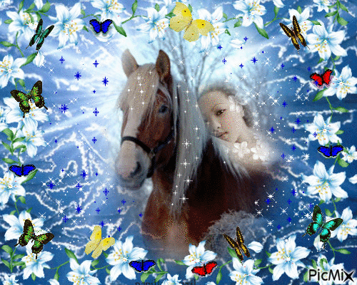 femme et son cheval - Бесплатный анимированный гифка