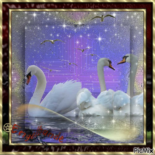Swans - png ฟรี