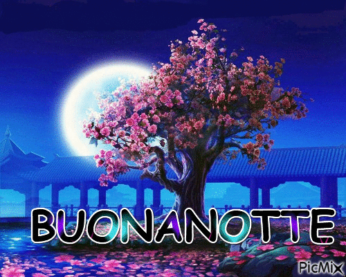 BUONANOTTE - Безплатен анимиран GIF