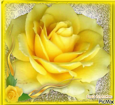 Rosa Amarela - GIF animado gratis