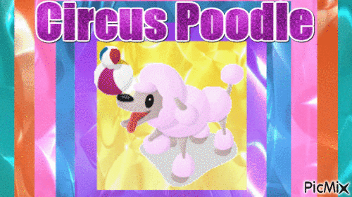 Circus Poodle - GIF animé gratuit
