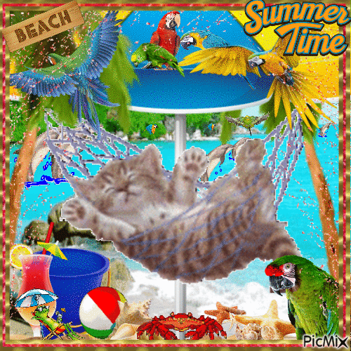 Summer Time at the Beach - Free animated GIF