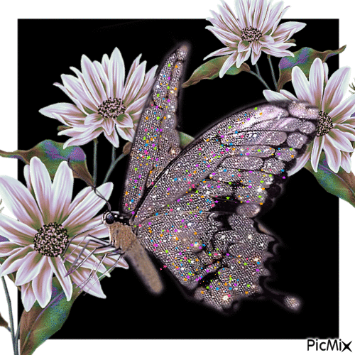 Hübscher Schmetterling - GIF animé gratuit
