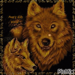 Wolf Mirror Images - GIF animasi gratis