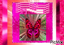 pink - Animovaný GIF zadarmo