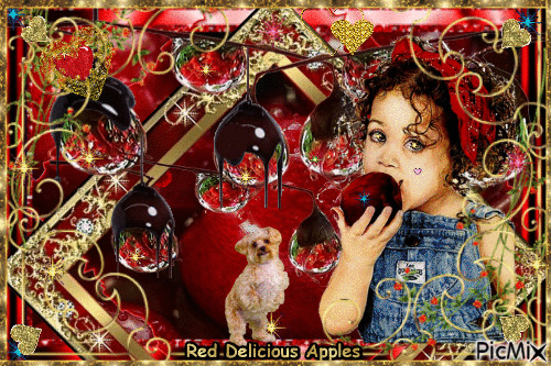 Red Delicious Apples - Free animated GIF