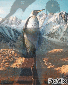 Paisaje pingüino - Free animated GIF