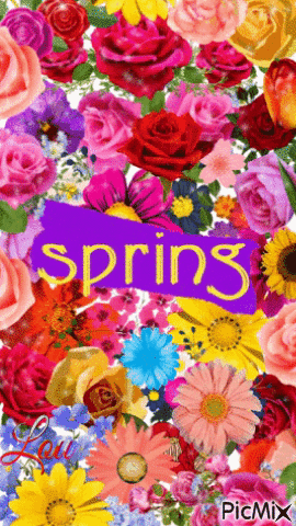 Spring mood - 免费动画 GIF
