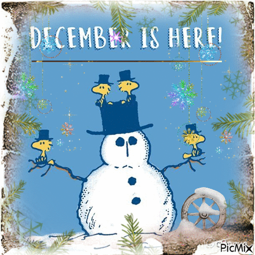 Hello December!   🙂❄️🎄🎅 - Gratis animerad GIF