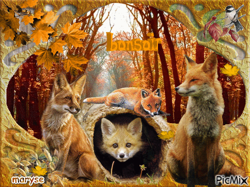 the fox - Besplatni animirani GIF