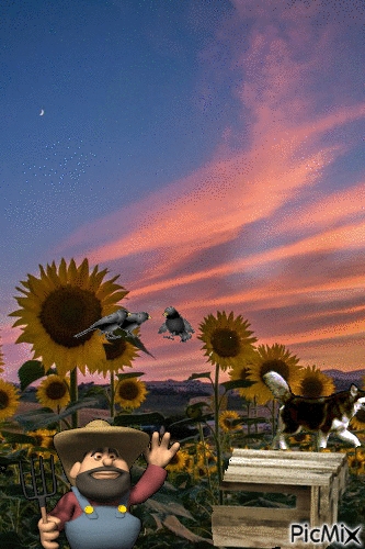 Campos de girasol - Bezmaksas animēts GIF