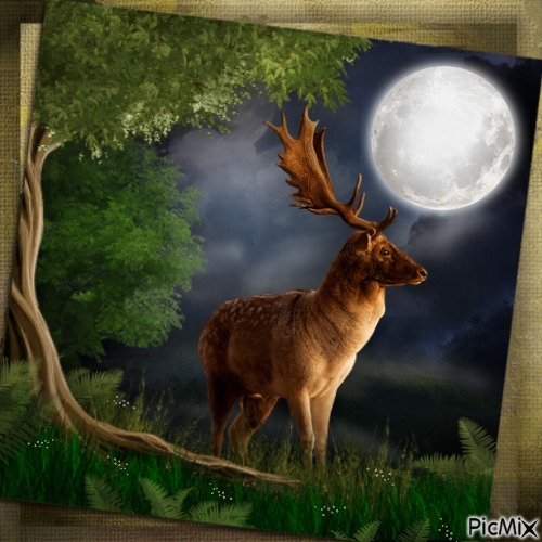 Nature in the Moonlight-RM-05-06-23 - png gratis
