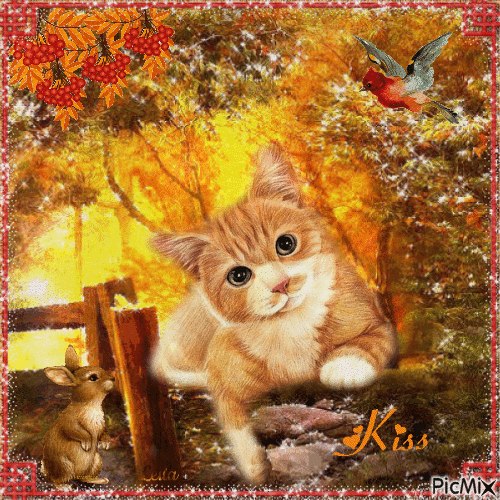 Autumn. Cat. Hugs, kiss, love - Gratis geanimeerde GIF