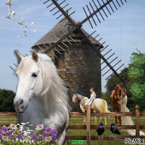 les chevaux - Ingyenes animált GIF