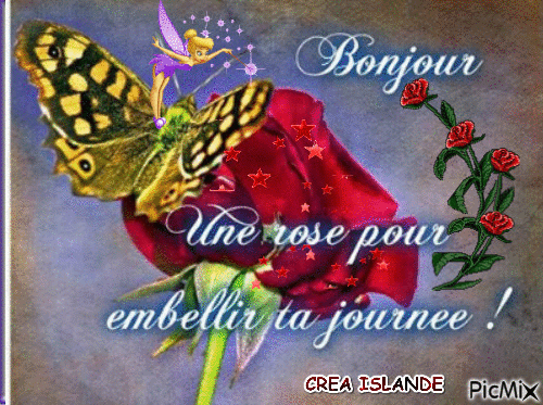roses rouge - Бесплатни анимирани ГИФ