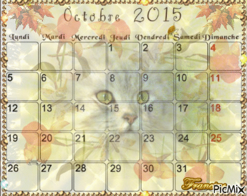 Calendrier du mois d'Octobre ♥♥♥ - Darmowy animowany GIF
