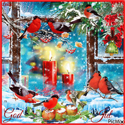 Merry Christmas. Winter birds. Dompap birds - GIF animasi gratis