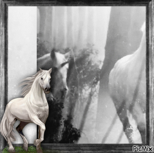 Cavalo prateado - GIF animasi gratis
