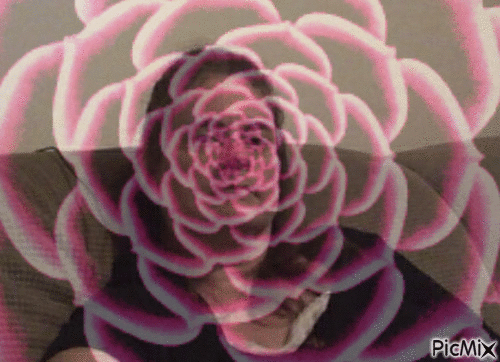 Flowers - 免费动画 GIF