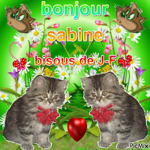 bonjour  sab - Bezmaksas animēts GIF