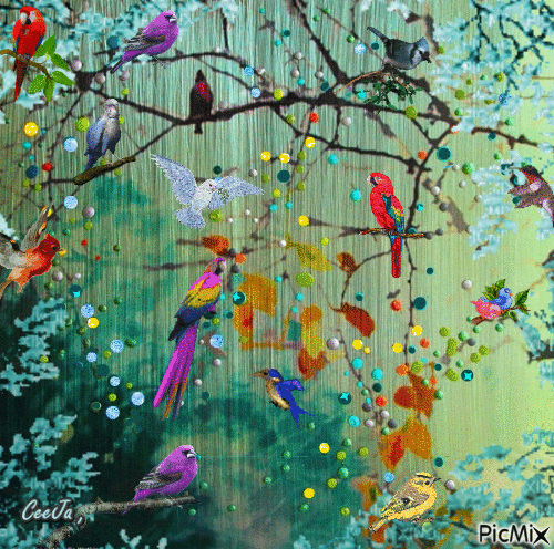 Colorful Birds - GIF animé gratuit
