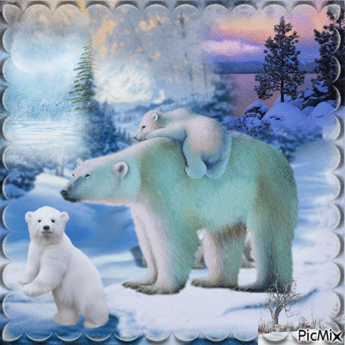 Ours polaires - GIF animé gratuit
