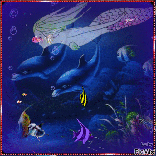 Dauphins et poissons !!!!! - Darmowy animowany GIF