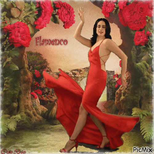 Concours : Danseuse de Flamenco - Darmowy animowany GIF